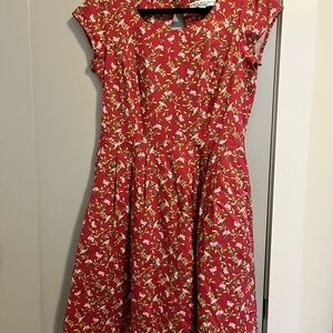Birds of North America Red/Pink Floral Dress
